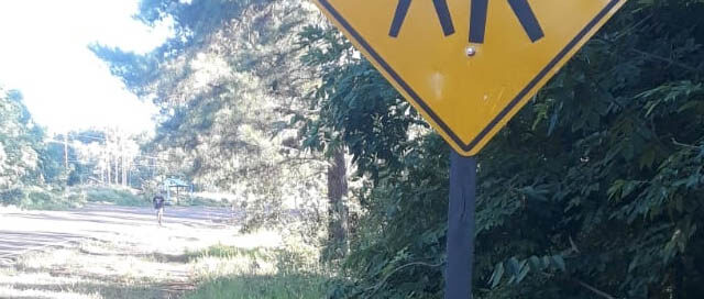 ALBA POSSE: Nueva cartelería vial para mejorar la seguridad en el municipio